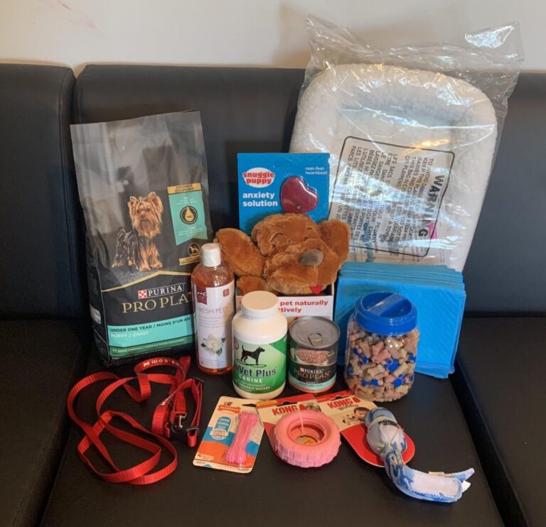 C9BB318C-7B78-4657-AE6C-F8B5619D9667