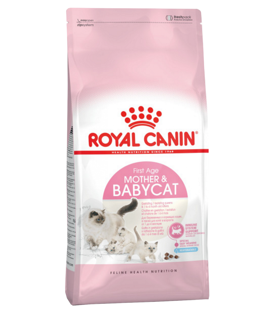 Royal Canin Kitten Dry Food 3 lb bag